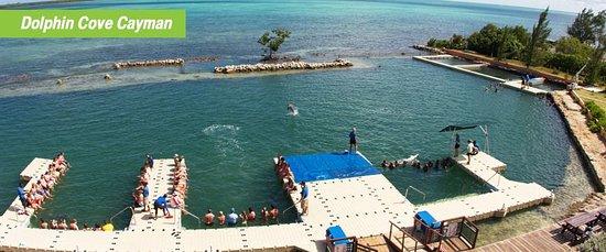 Dolphin Cove